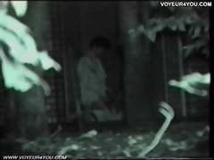 Bench Park Night Outdoor Sex